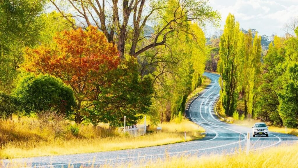 Tragedy on Casey Drive Fatal Truck Rollover Claims Life of NSW Driver