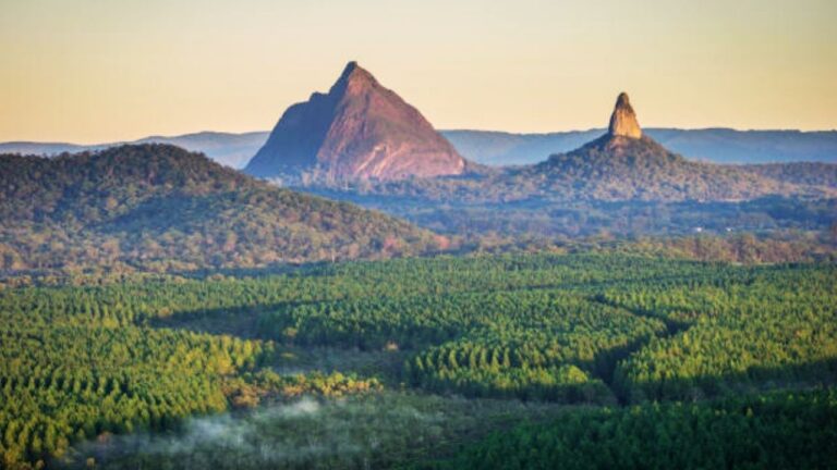 Human Remains Found in Queensland’s National Park