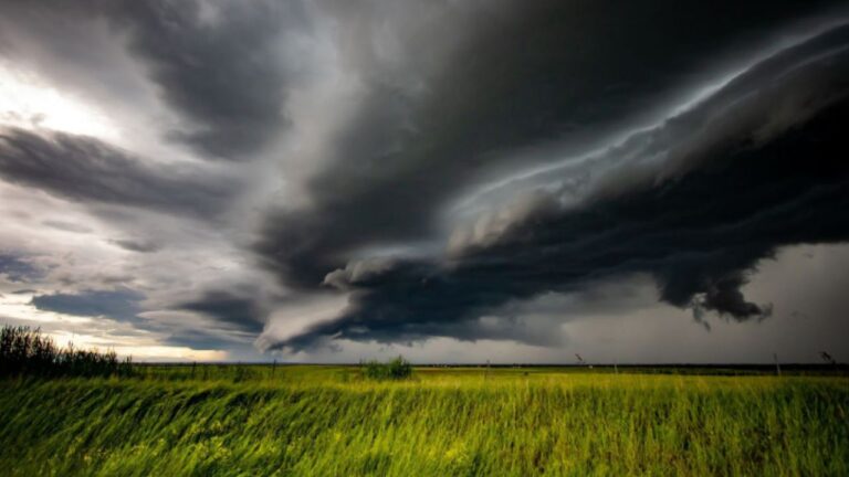 Cyclone Alfred Knocks Out Power for Over 250,000 Homes