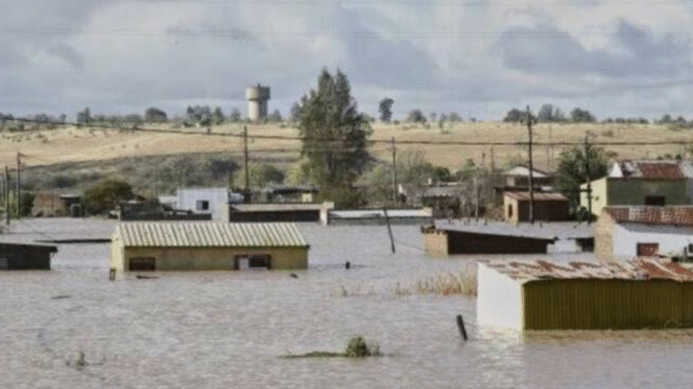 South Africa Declares State of Disaster as Flood Toll in Eastern Cape Rises to 92