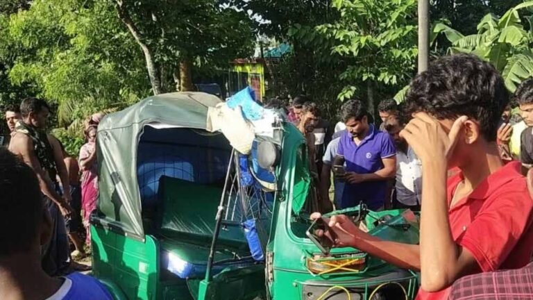 Mother, Daughter and Passenger Killed in Sunamganj Road Crash
