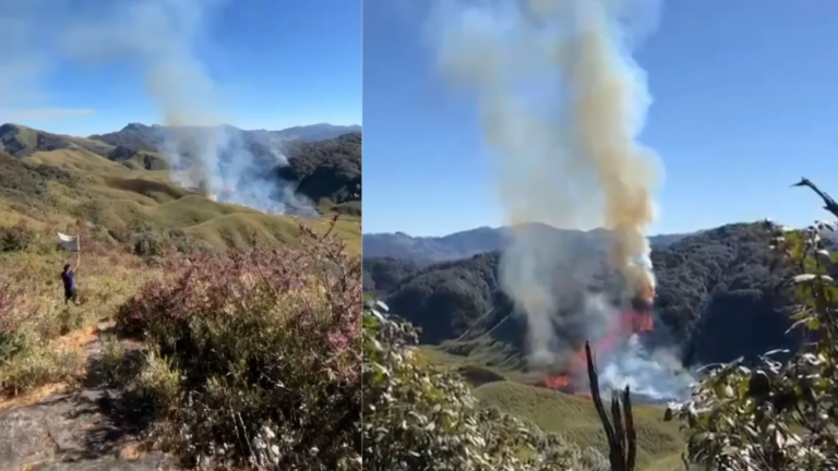 Massive Wildfire Erupts in Nagaland’s Dzükou Valley