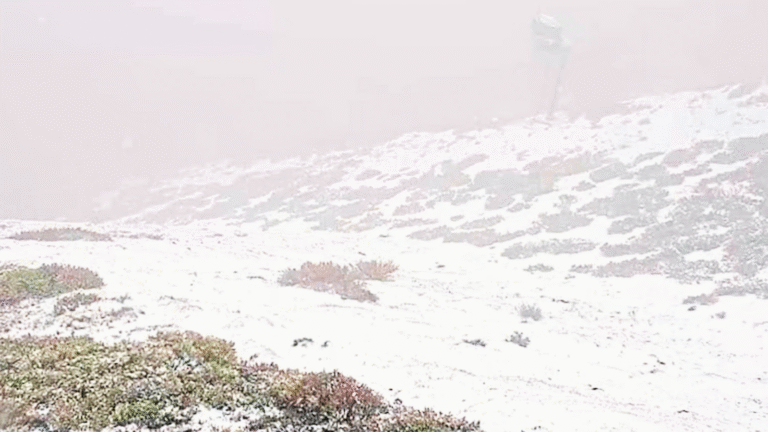 Australia’s Summer Begins with Record Heat in West and Unseasonal Cold in South-East