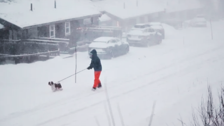 Snowstorm Johannes Batters Scandinavia: Three Countries Disrupted, Three Dead in Sweden