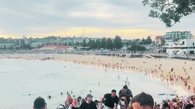 Coalition Taskforce Responds to Bondi Attack, Vows Stronger Action Against Antisemitism