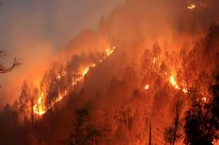 Wildfire Rages Across Uttarakhand as Snowless Winter Fuels Destruction