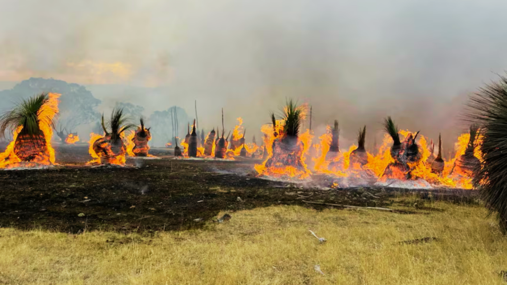 Fleurieu Peninsula Bushfire Still Uncontrolled as Crews Battle Steep Terrain