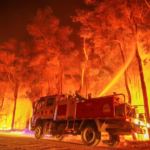 Illegal Bush Raves Spark Fire Fears in WA’s South West