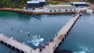 Community Pushback Grows Over Plans to Sell Iconic Defence Sites in Sydney