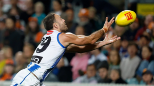 AFL Boss Defends Umpiring Standards Despite Controversial ARC Errors