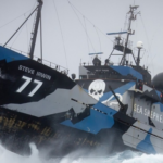 Legendary Anti‑Whaling Ship Steve Irwin Set to Sail Again After $10 Rescue and Two Years of Restoration