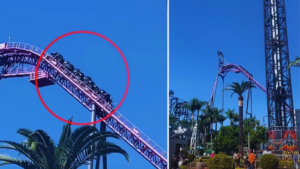 Passengers Left Hanging as Gold Coast HyperCoaster Grinds to Sudden Halt