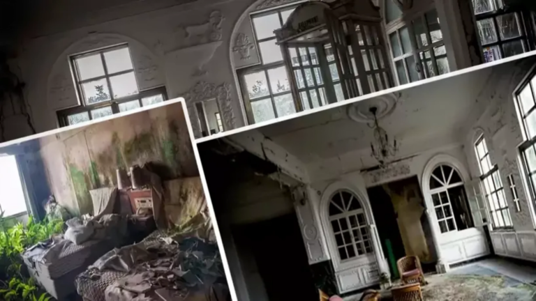 Rockhampton’s Long‑Abandoned Plaza Hotel Set for Auction After Years of Decay and Legal Battles