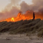 Tasmania Bushfire Threat Returns as Dolphin Sands Residents Told to Act Now
