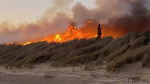 Tasmania Bushfire Threat Returns as Dolphin Sands Residents Told to Act Now