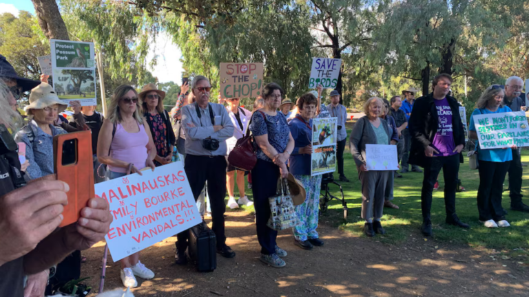 “Stop the Chop”: Thousands Rally in Adelaide as Tree Clearing for Golf Redevelopment Sparks Fury