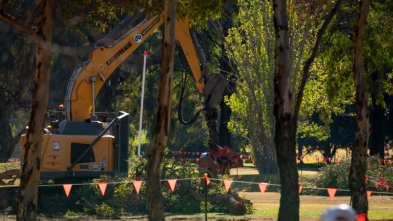 Outcry Grows as Sacred Adelaide Park Lands Cleared for Controversial Golf Redevelopment