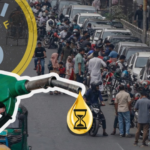Expert Says Fuel‑Saving Advice in National Plan Is ‘Sound’ But Not Without Trade‑Offs