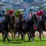 Hobart Cup Run at Wrong Distance After Major Staff Oversight, Investigation Finds