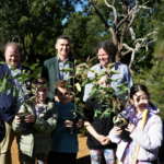 WA Launches “Treebate” Program Offering $150 Cash Boost for Planting Native Trees