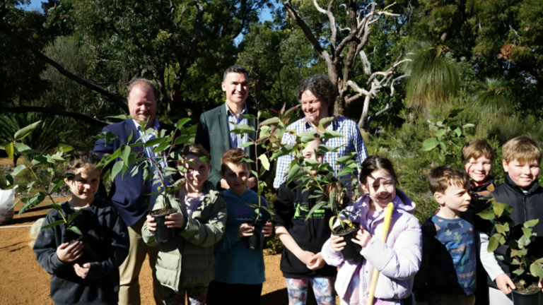 WA Launches “Treebate” Program Offering $150 Cash Boost for Planting Native Trees