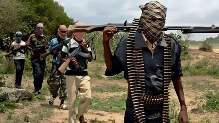 Nigerian Emir Urges Communities to Buy Weapons for Self‑Defense as Bandit Violence Escalates