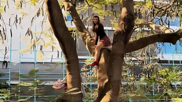 Protester Removed After Spending 23 Hours Up a Tree at Brisbane’s Kurilpa Common