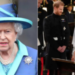 Queen’s Confidante Claimed Tensions Ran High Before Harry and Meghan’s Wedding