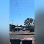 Queensland Family Traumatised After Police Run Over and Shoot Teen’s Dog in Mount Isa