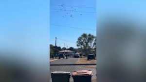 Queensland Family Traumatised After Police Run Over and Shoot Teen’s Dog in Mount Isa
