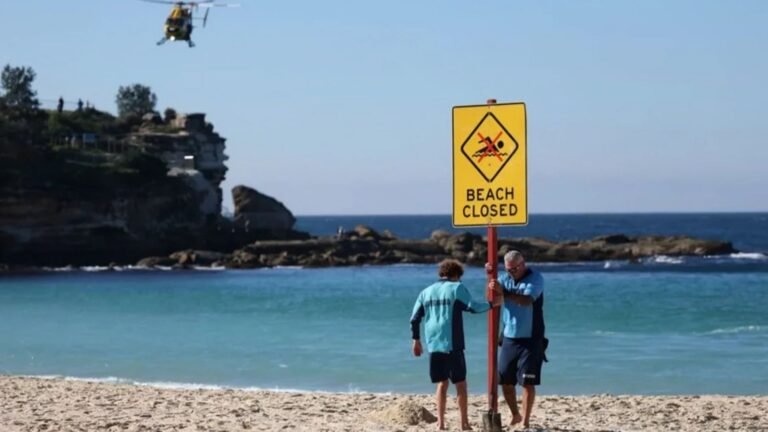 Shark Attack at Sydney’s Coogee Beach Leaves Woman Seriously Injured