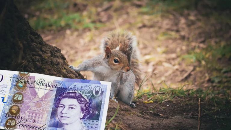 UK Banknotes May Soon Feature Wildlife Instead of Historical Icons, Sparking Fierce Debate
