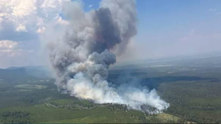 Canada Battles One of Its Most Intense Wildfire Seasons as Millions of Acres Burn