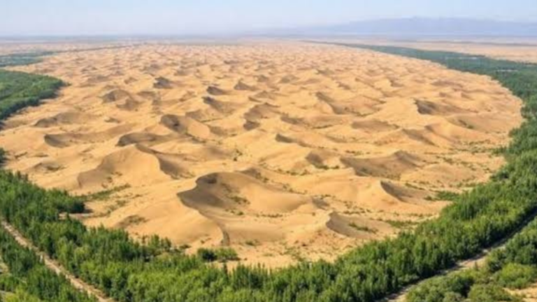 China’s ‘Green Great Wall’ Marks Major Gains After 50 Years, but Scientists Warn the Fight Isn’t Over