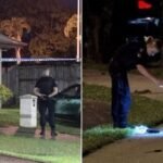 Police Shoot Armed Man in Cairns, Injure Innocent Bystander Standing at Her Front Door