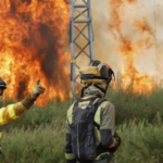 Wildfire Catastrophe in Southern Spain Claims 12 Lives as Heatwaves Push Europe to the Brink