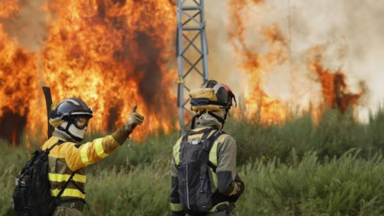Wildfire Catastrophe in Southern Spain Claims 12 Lives as Heatwaves Push Europe to the Brink