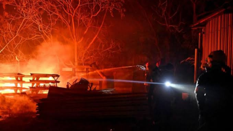 Wildfire Near Thessaloniki Forces Evacuations as Flames Race Toward Suburbs