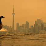Toronto Choked by Worst Global Air Quality as Wildfire Smoke Spreads Across Canada and the US