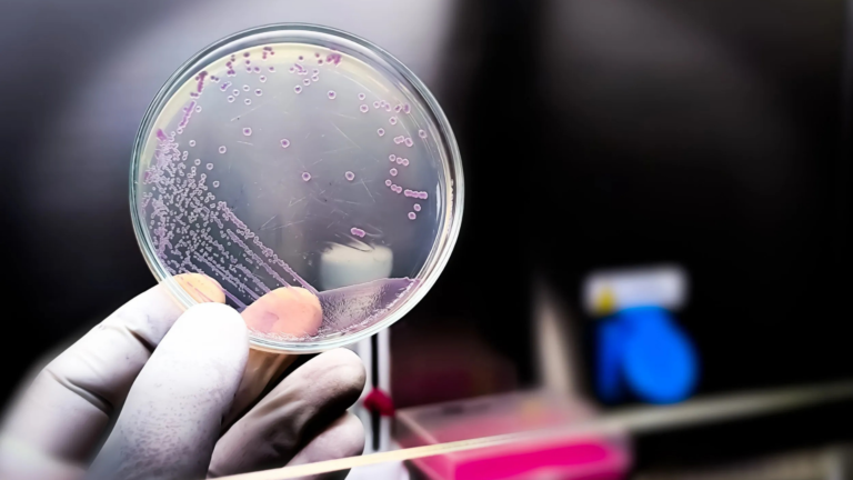 AI Breakthrough Creates Fully Functional Lab‑Made Viruses, Sparking Scientific Excitement and Safety Fears