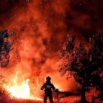 France Grapples With Record Wildfires as Authorities Arrest 420 People Amid Rising Anger Over Blame and Preparedness
