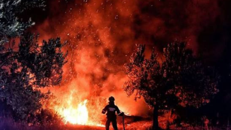 France Grapples With Record Wildfires as Authorities Arrest 420 People Amid Rising Anger Over Blame and Preparedness