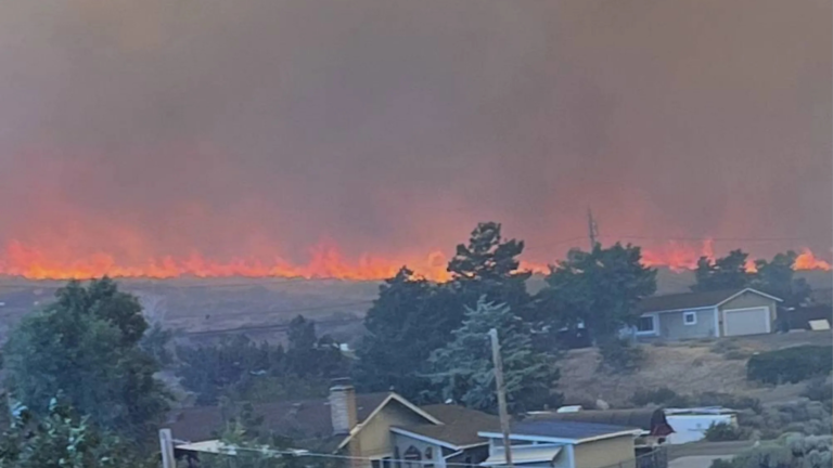 Nevada Wildfire Forces Mass Evacuations as Wind‑Driven Hawk Fire Races Toward Reno