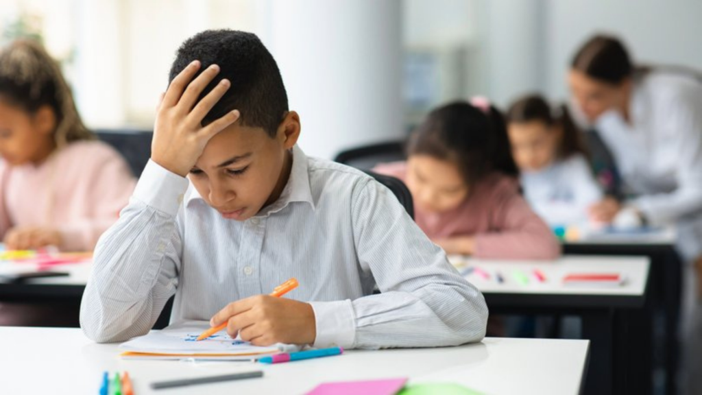 WA’s NAPLAN Shock: Four in Ten Year 3 Students Struggling as Older Cohorts Surge Ahead