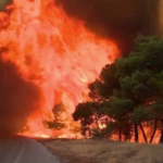 Wildfires Force Mass Evacuations Across Greece as Heatwaves Fuel Dangerous Conditions
