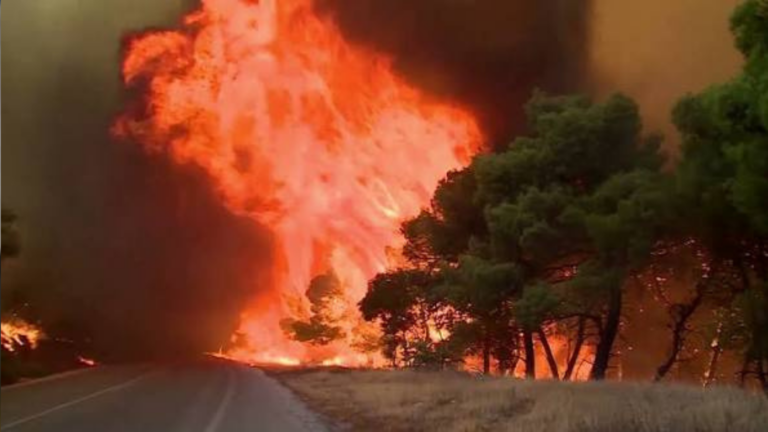 Wildfires Force Mass Evacuations Across Greece as Heatwaves Fuel Dangerous Conditions