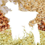 Agriculture Ministry Reviews Crop Production, Research and Food Security Measures
