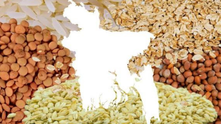 Agriculture Ministry Reviews Crop Production, Research and Food Security Measures
