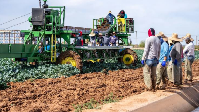 Australia to Fast-Track Farm Worker Visas Ahead of Harvest Season