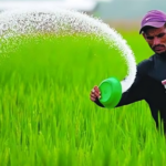 Bangladesh to Receive 250,000 Tonnes of Fertiliser as Government Moves to Ease Supply Concerns